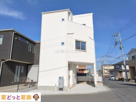 ���n�O�ώʐ^ �B�e��(2026-02-05 00:00:00)