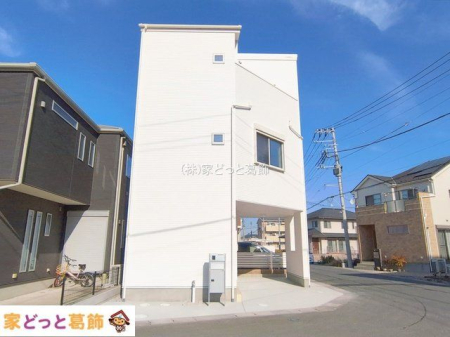 ���n�O�ώʐ^ �B�e��(2026-02-05 00:00:00)