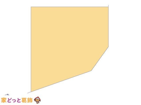 ���̑� �}�ʂƈقȂ�ꍇ�͌�����D��