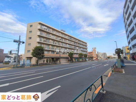 ���n�O�ώʐ^ �B�e��(2026-01-20 00:00:00)