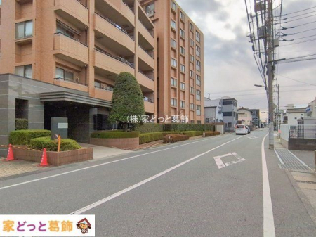 ���n�O�ώʐ^ �B�e��(2026-01-21 00:00:00)