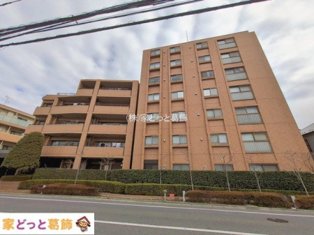 ���n�O�ώʐ^ �B�e��(2026-01-21)