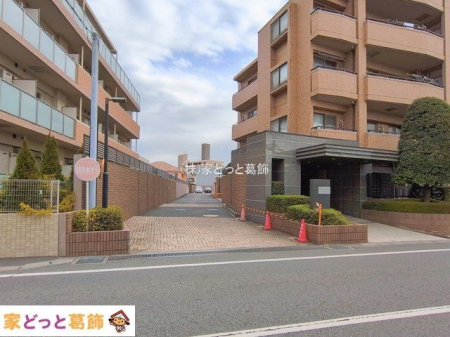 ���n�O�ώʐ^ �B�e��(2026-01-21 00:00:00)