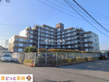 ���n�O�ώʐ^ �B�e��(2026-01-30 00:00:00)