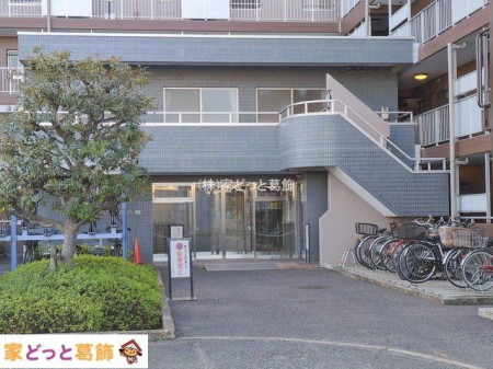 �G���g�����X �B�e��(2026-01-30)