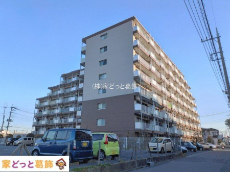 ���n�O�ώʐ^ �B�e��(2026-01-30 00:00:00)