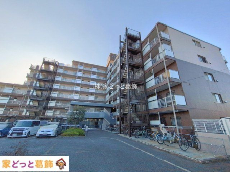 ���n�O�ώʐ^ �B�e��(2026-01-30 00:00:00)