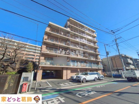 ���n�O�ώʐ^ �B�e��(2026-02-03 00:00:00)