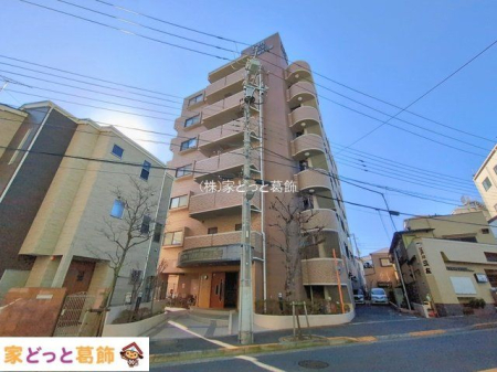 ���n�O�ώʐ^ �B�e��(2026-01-13)