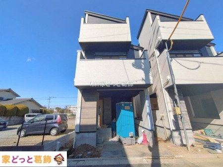 ���n�O�ώʐ^ �B�e��(2026-01-30 00:00:00)