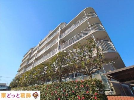 ���n�O�ώʐ^ �B�e��(2026-02-02 00:00:00)