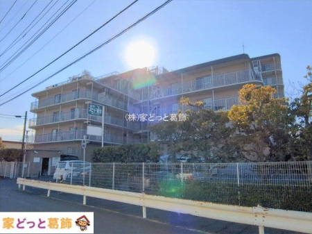 ���n�O�ώʐ^ �B�e��(2026-02-02 00:00:00)