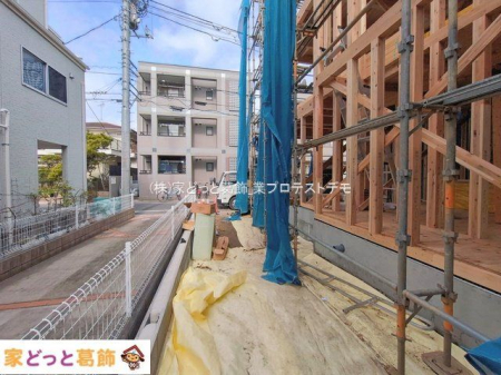 ���n�O�ώʐ^ �B�e��(2026-02-24 00:00:00)