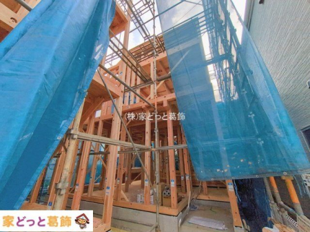 ���n�O�ώʐ^ �B�e��(2026-02-24 00:00:00)