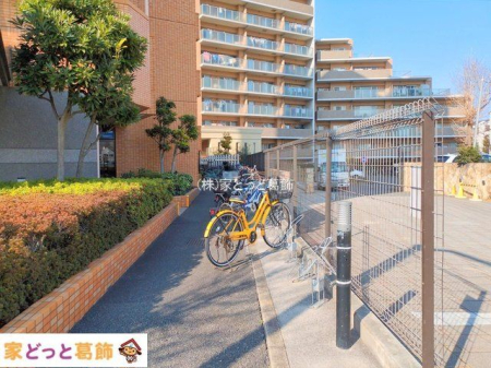 ���n�O�ώʐ^ �B�e��(2025-01-24 00:00:00)