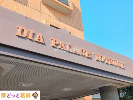 ���n�O�ώʐ^ �B�e��(2025-01-24 00:00:00)