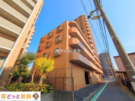 ���n�O�ώʐ^ �B�e��(2025-01-24)