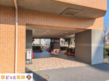 ���n�O�ώʐ^ �B�e��(2025-01-24 00:00:00)