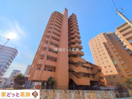 ���n�O�ώʐ^ �B�e��(2025-01-24 00:00:00)