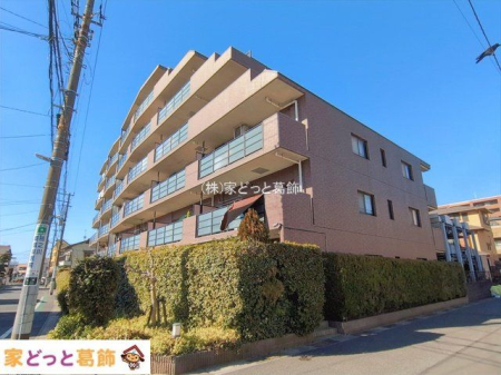 ���n�O�ώʐ^ �B�e��(2026-02-03)