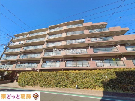 ���n�O�ώʐ^ �B�e��(2026-02-03 00:00:00)