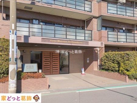 �G���g�����X �B�e��(2026-02-03 00:00:00)