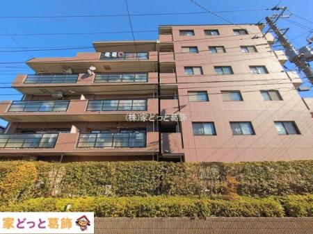 ���n�O�ώʐ^ �B�e��(2026-02-03 00:00:00)