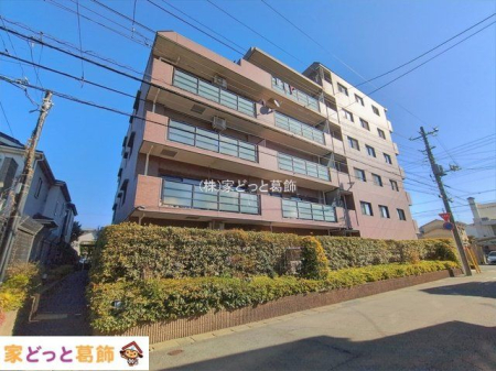 ���n�O�ώʐ^ �B�e��(2026-02-03 00:00:00)