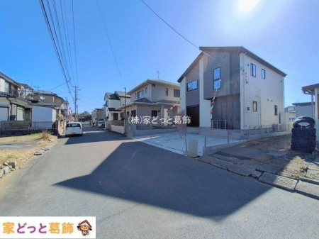 ���n�O�ώʐ^ �B�e��(2026-02-19 00:00:00)