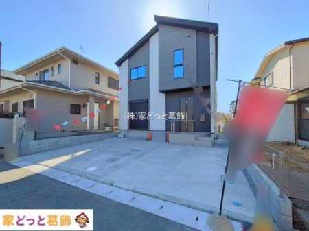 ���n�O�ώʐ^ �B�e��(2026-02-19 00:00:00)