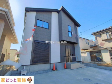 ���n�O�ώʐ^ �B�e��(2026-02-19 00:00:00)