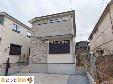 ���n�O�ώʐ^ �B�e��(2026-02-20 00:00:00)