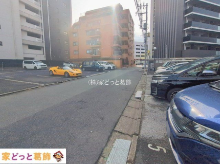 ���n�O�ώʐ^ �B�e��(2026-02-17 00:00:00)