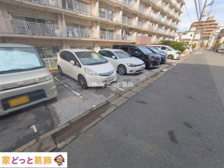 ���n�O�ώʐ^ �B�e��(2026-02-17 00:00:00)