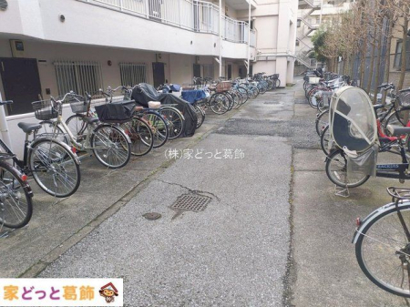 ���n�O�ώʐ^ �B�e��(2026-02-17 00:00:00)