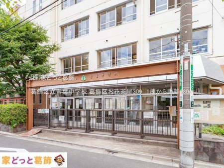 ���ӊ� �����旧�t���w�Z �B�e��(2021-06-22) 980m