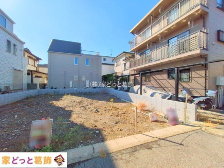 ���n�O�ώʐ^ �B�e��(2025-11-28 00:00:00)