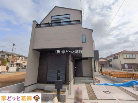 ���n�O�ώʐ^ �B�e��(2026-02-24 00:00:00)