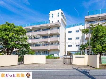 ���ӊ� �s��s���k�����w�Z �B�e��(2022-08-09) 400m