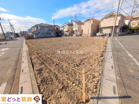 ���n�O�ώʐ^ �B�e��(2025-11-19 00:00:00)