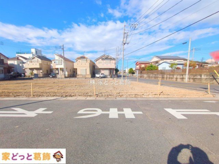 ���n�O�ώʐ^ �B�e��(2025-11-19 00:00:00)