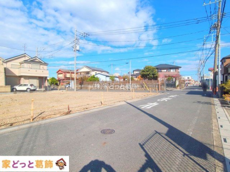 ���n�O�ώʐ^ �B�e��(2025-11-19 00:00:00)