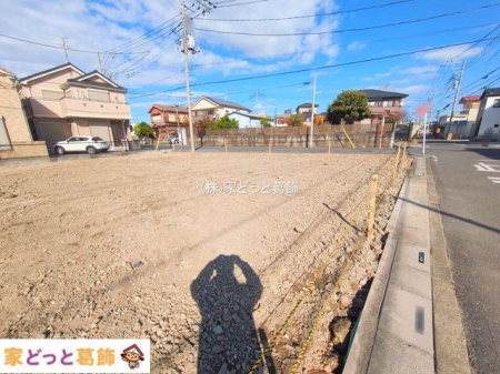 ���n�O�ώʐ^ �B�e��(2025-11-19 00:00:00)