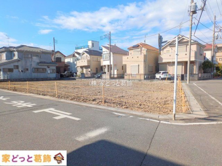 ���n�O�ώʐ^ �B�e��(2025-11-19 00:00:00)