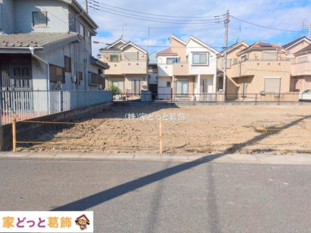 ���n�O�ώʐ^ �B�e��(2025-11-19 00:00:00)