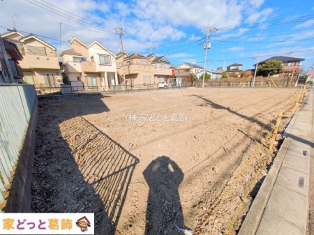 ���n�O�ώʐ^ �B�e��(2025-11-19 00:00:00)