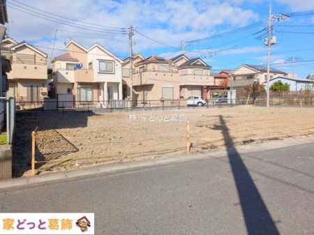 ���n�O�ώʐ^ �B�e��(2025-11-19 00:00:00)