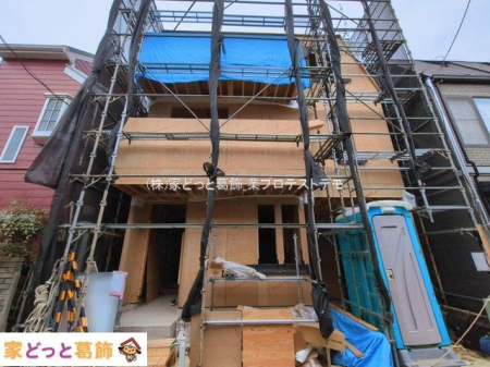 ���n�O�ώʐ^ �B�e��(2026-03-16)