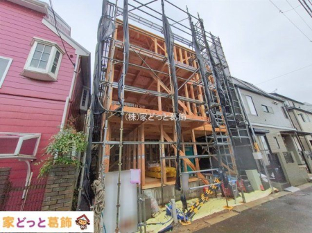 ���n�O�ώʐ^ �B�e��(2026-02-25 00:00:00)