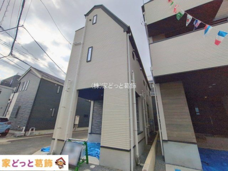 ���n�O�ώʐ^ �B�e��(2026-02-16 00:00:00)